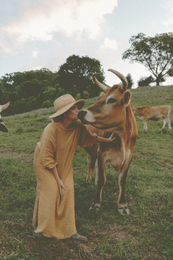 volunteering cow banner 